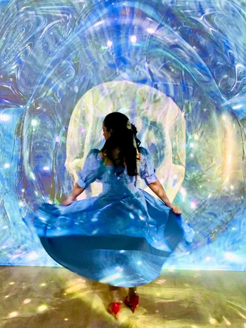 Art Museums - Immersive Van Gogh